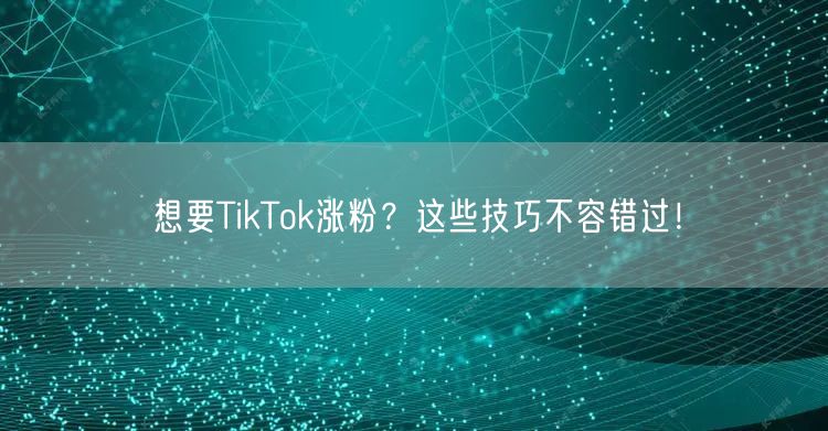 想要TikTok涨粉？这些技巧不容错过！